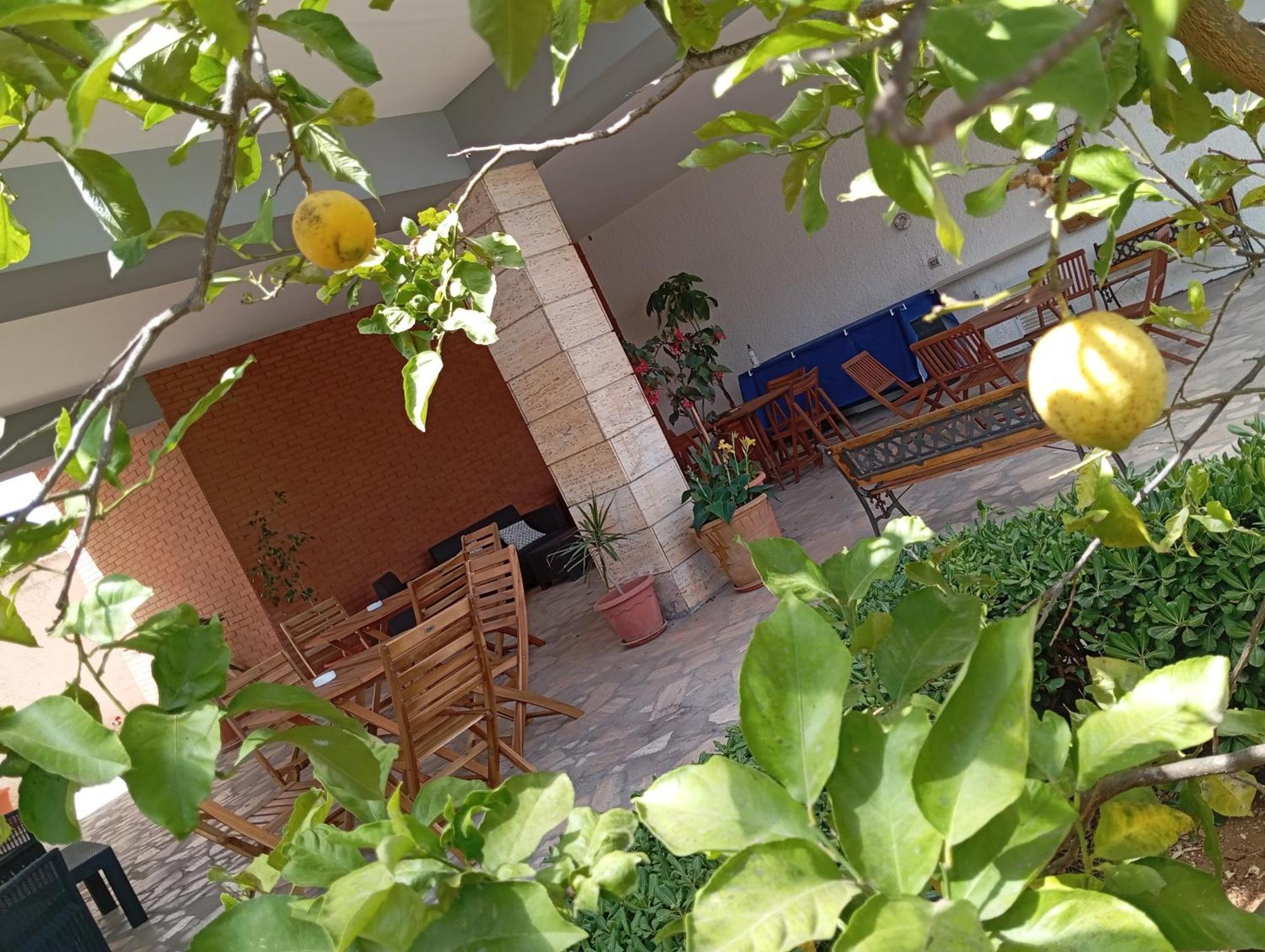 B&B Il Cedro Сальве Экстерьер фото